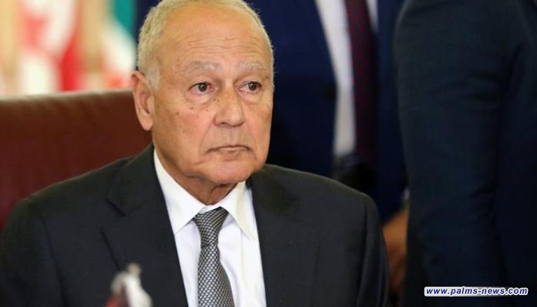 أبو الغيط: التدخلات الاقليمية تقوّض فرص استقرار المنطقة بأكملها